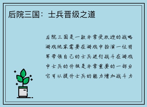 后院三国：士兵晋级之道