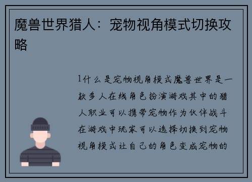 魔兽世界猎人：宠物视角模式切换攻略